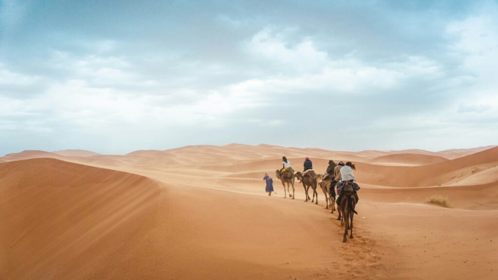 Read more about the article Camel-riding in the Sahara Desert