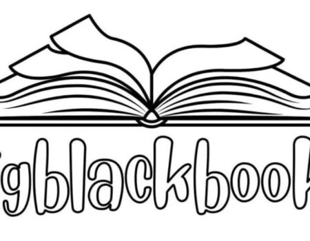 Call For Submissions: Bigblackbooks Blog
