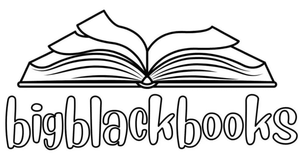 Read more about the article Call For Submissions: Bigblackbooks Blog