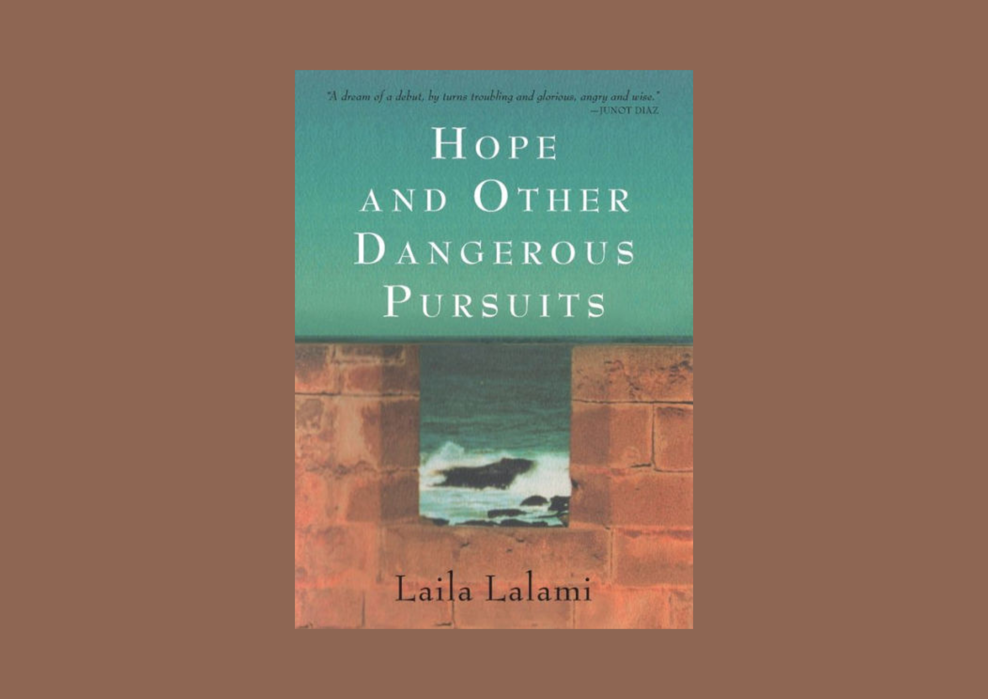 You are currently viewing Self-Actualisation and Post-colonial Tensions in Laila Lalami’s “Hopes and Other Dangerous Pursuits”