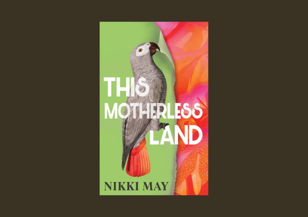 Read more about the article The Weight of Grief, Prejudice and Love – A Review of Nikki May’s This Motherless Land