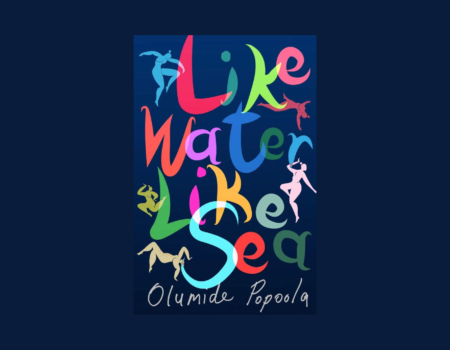 The Art of Falling Apart in Olumide Popoola’s ‘Like Water, Like Sea’