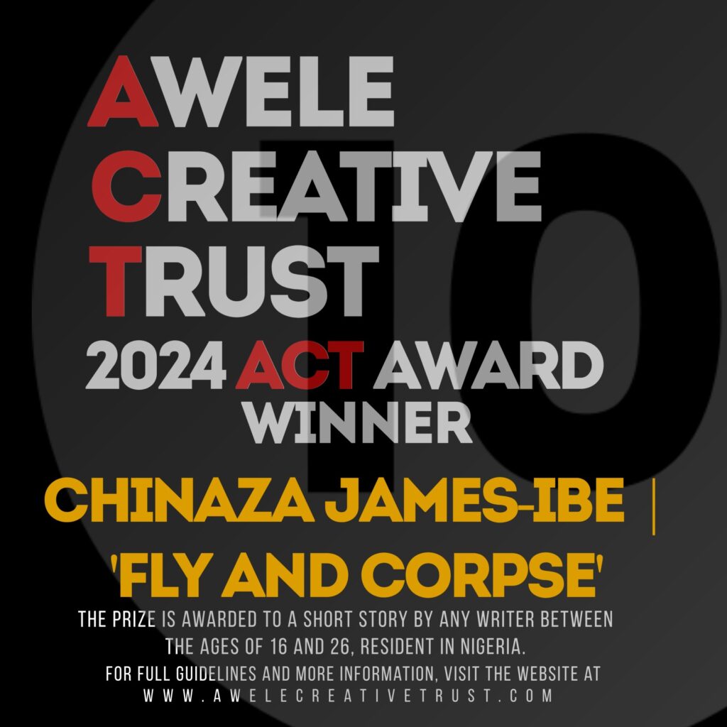 Read more about the article Awele Creative Trust Announces 2024 Act Award Winner
