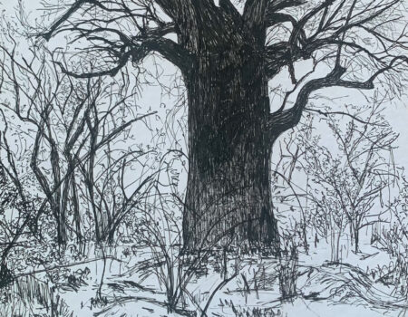 Three Drawings