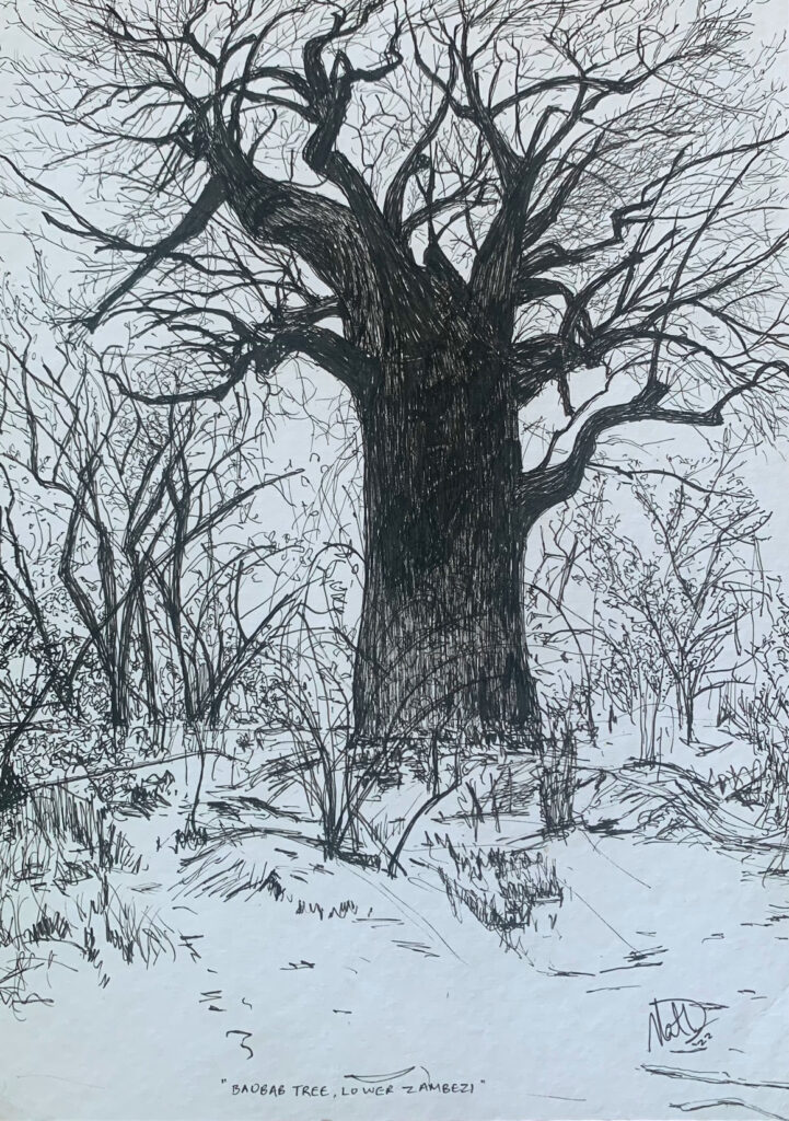 Read more about the article Three Drawings