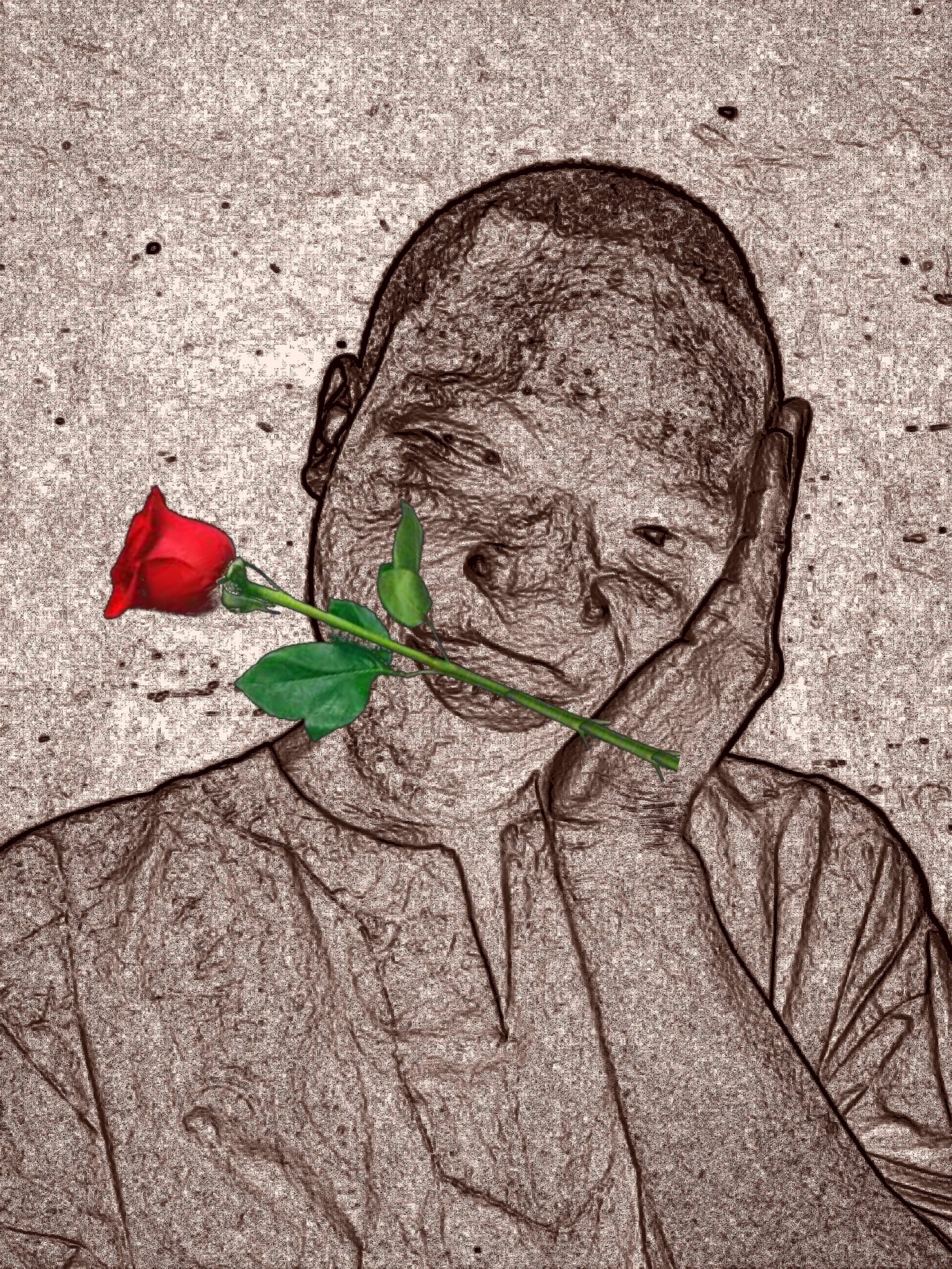 You are currently viewing Petals on Weathered Skin