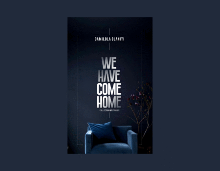 A Review of Damilola Olaniyi’s We Have Come Home