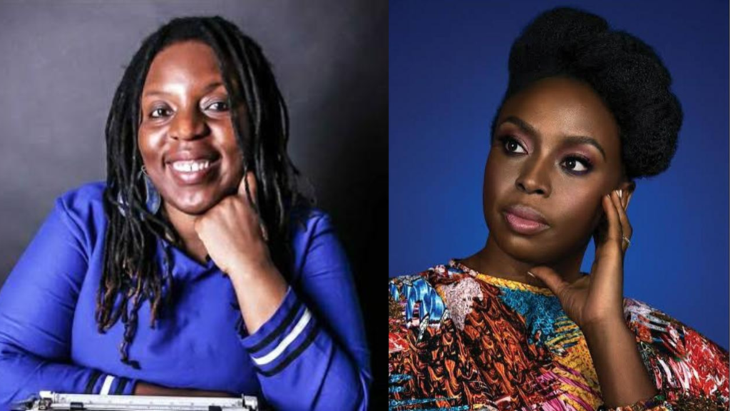 Read more about the article Chimamanda Ngozi Adichie and Siphwe Gloria Ndlovu Nominated for Dublin Literary Award Worth €100,000