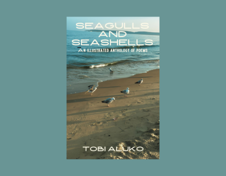 Love and Poetic Observations in Tobi Aluko’s Seagulls and Seashells