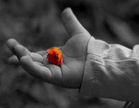 How to Love Like a Child