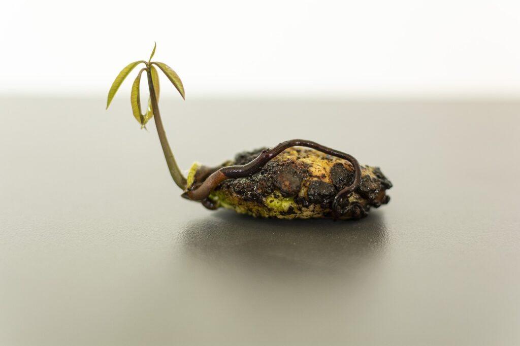 Read more about the article Remembrance