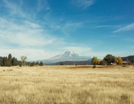 Voice of a Barren Land