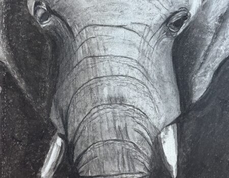 Tusks
