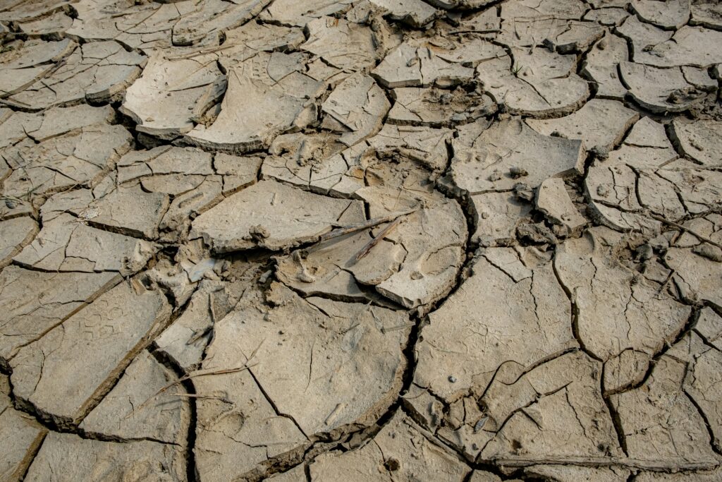 Read more about the article Before Every Rain was Drought