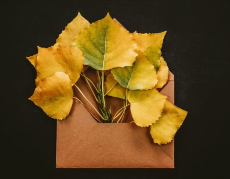 Editor’s Note – Issue 11