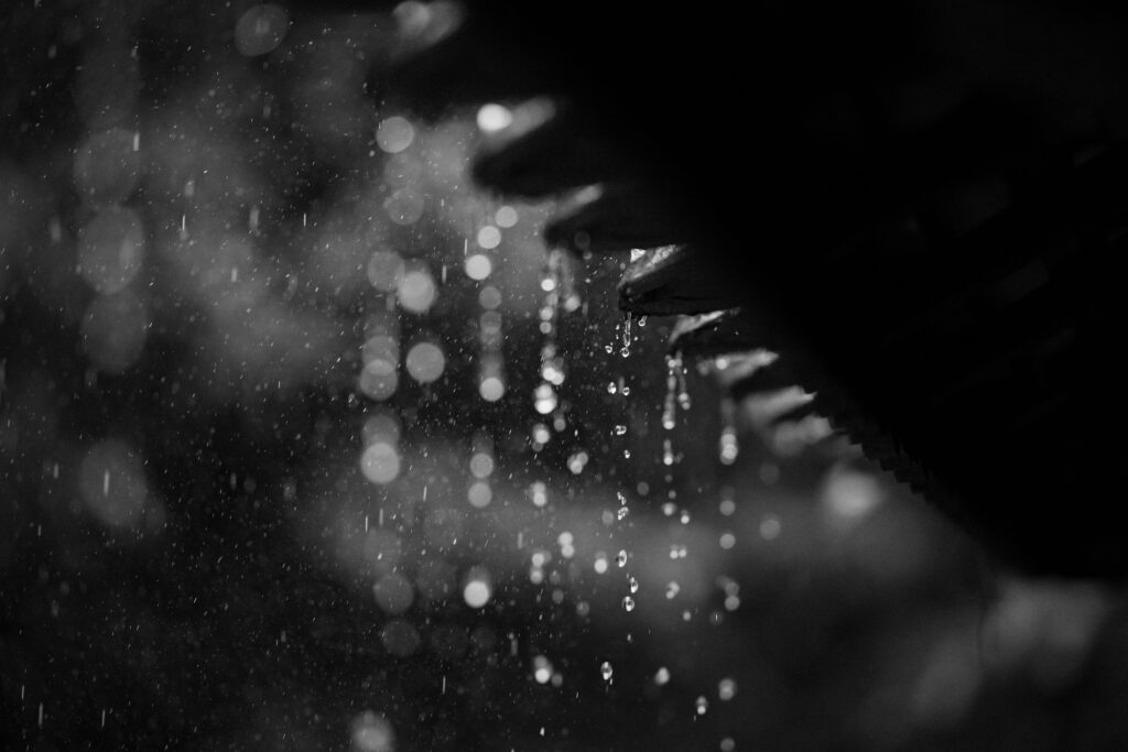 Read more about the article Rainwater