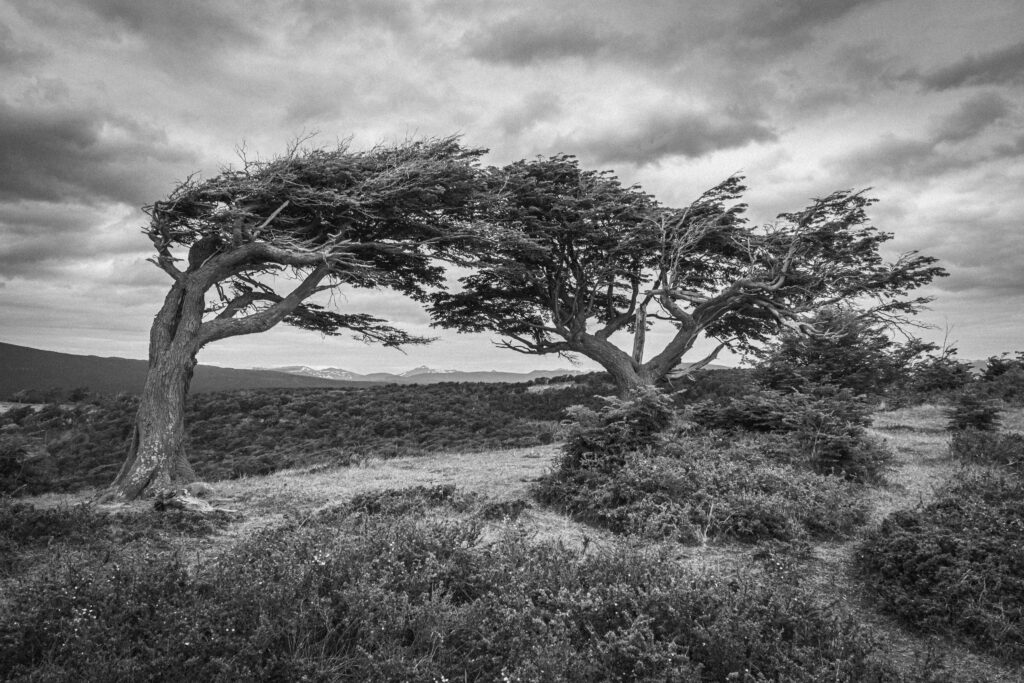 Read more about the article When the Rain Became Ruin