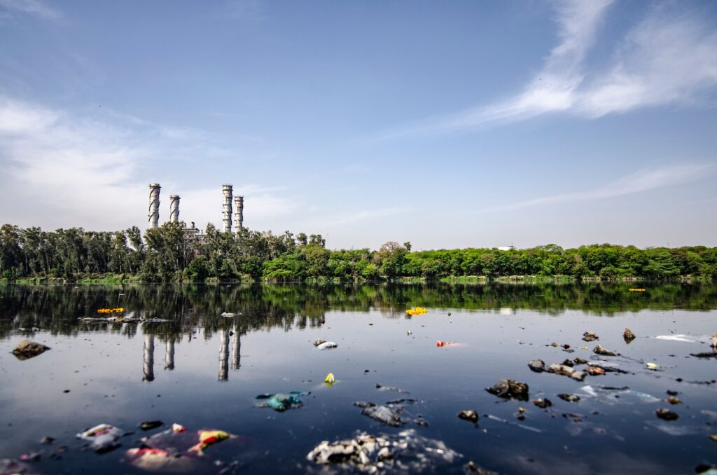 Read more about the article Green River